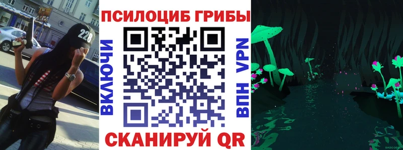 как найти наркотики  Кола  Галлюциногенные грибы ЛСД 